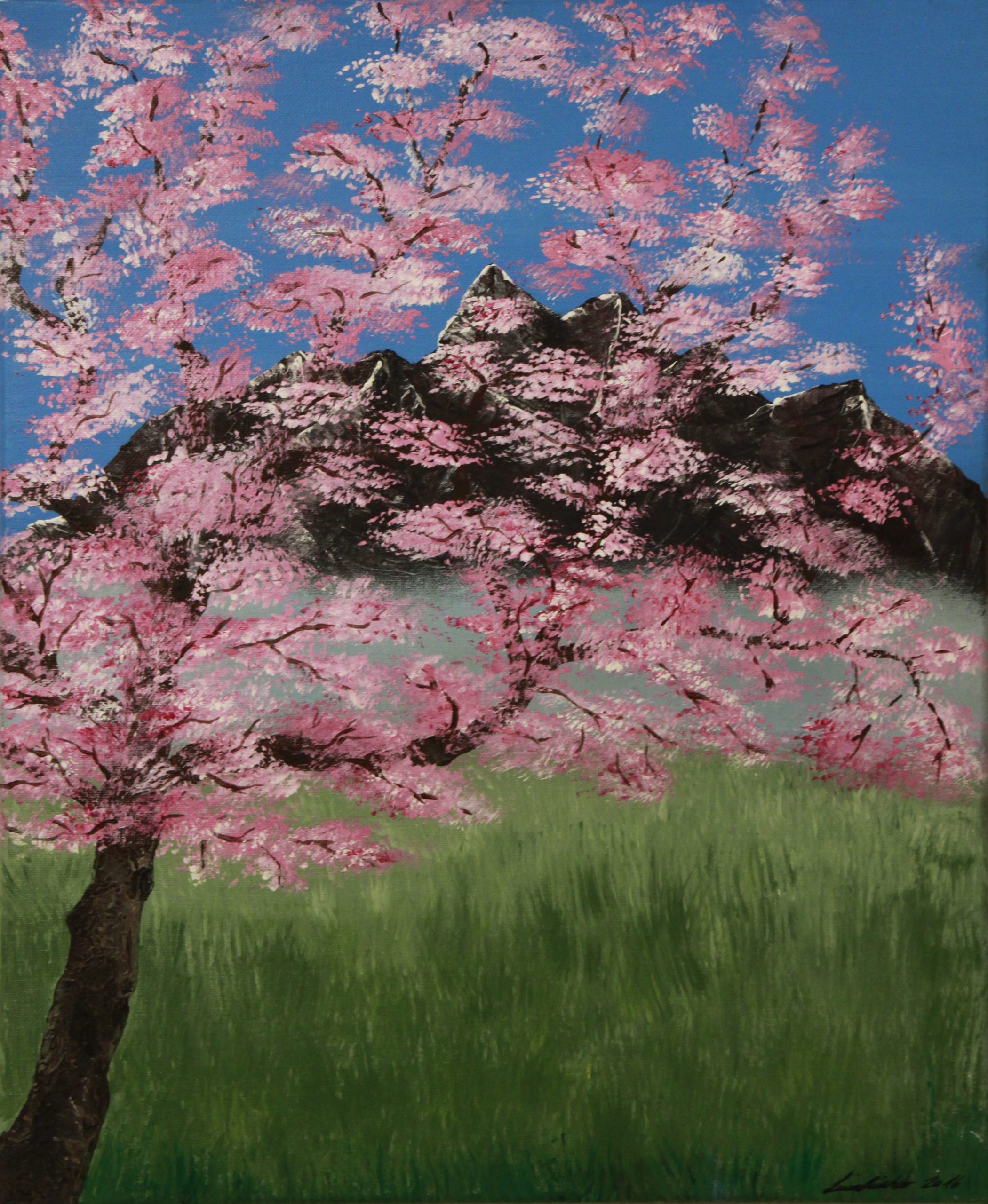 Judasbaum